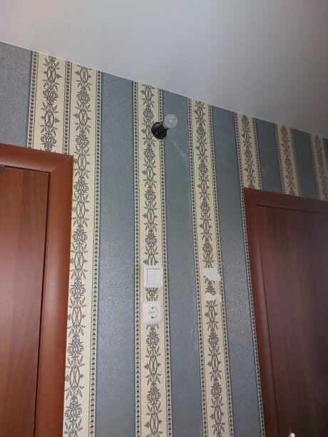 Заменили лампочку на светильник в коридоре, Новосибирск (ул. Плахотного) Фото 0