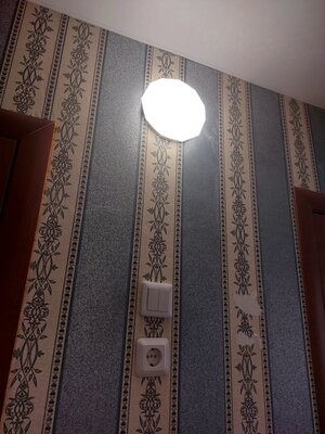 Заменили лампочку на светильник в коридоре, Новосибирск (ул. Плахотного)