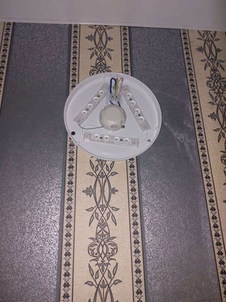 Заменили лампочку на светильник в коридоре, Новосибирск (ул. Плахотного) Фото 1